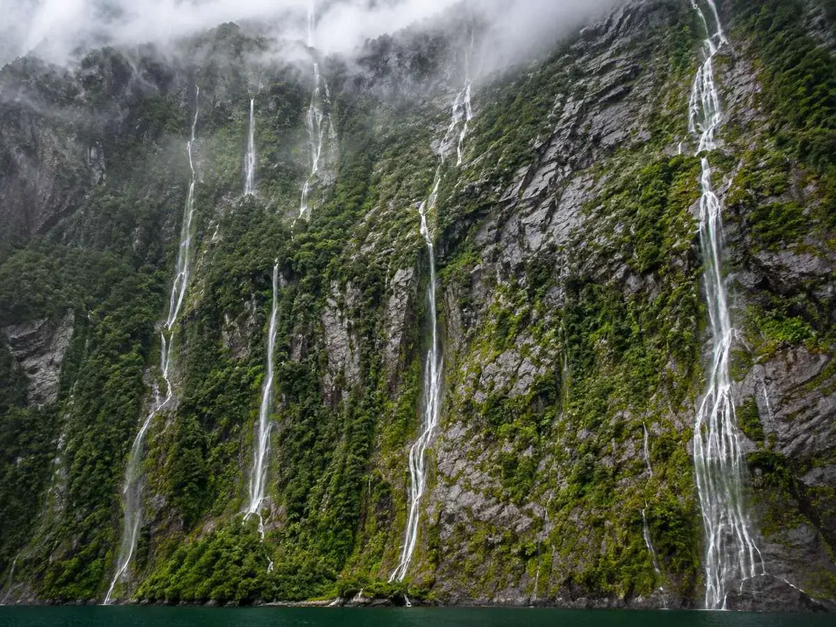 Rainforest holding on to the fiord’s 1,200-metre rock walls